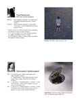 Catalogue_V03_171031.pdf_page_21
